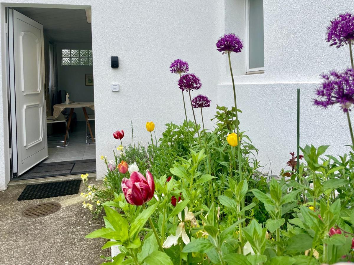 Studio in Stadtnähe Zürich mit guter Verkehrsanbindung Adliswil Exterior foto